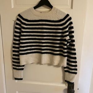 Everlane The Boxy Crew in Cashmere